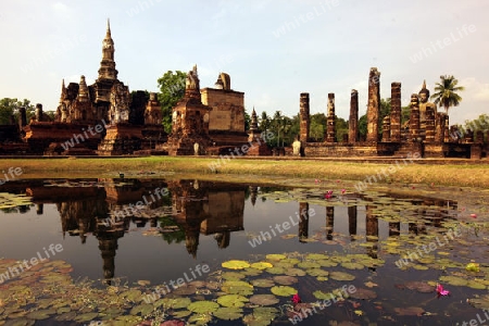 Der Wat Mahathat Tempel in der Tempelanlage von Alt-Sukhothai in der Provinz Sukhothai im Norden von Thailand in Suedostasien.