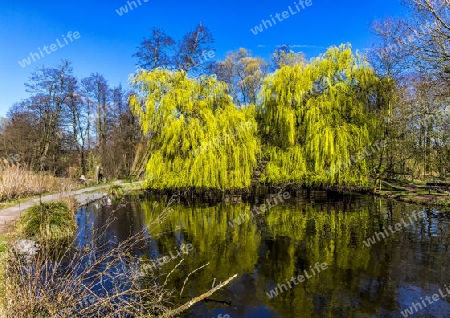 De Wittsee