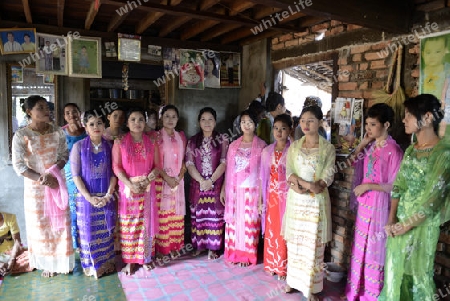 a women in a traditional dress at a shinpyu ceremony in a village neat the city of Myeik in the south in Myanmar in Southeastasia.