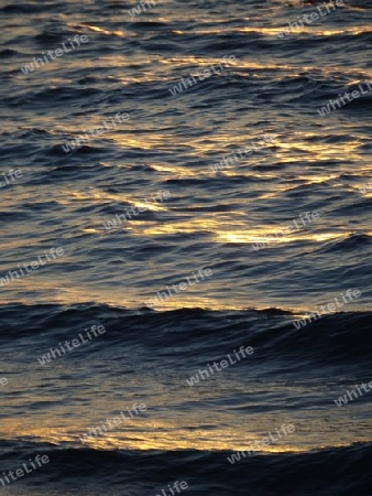 Wellen  im Abendlicht    
