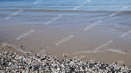 Strand mit Muschelschalen