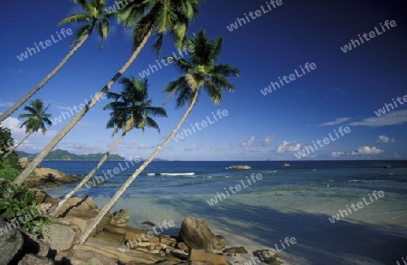 Ein Traumstrand auf der Insel Praslin der Inselgruppe Seychellen im Indischen Ozean in Afrika.