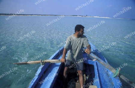 Afrika, Tunesien, Jerba
Ein Strand auf der Insel Jerba im sueden von Tunesien. (URS FLUEELER)






