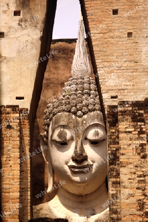 Die Buddha Figur  im Wat Si Chum Tempel in der Tempelanlage von Alt-Sukhothai in der Provinz Sukhothai im Norden von Thailand in Suedostasien.