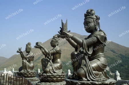 The Giant Buddha on the Island Lantau in Hong Kong in the south of China in Asia.