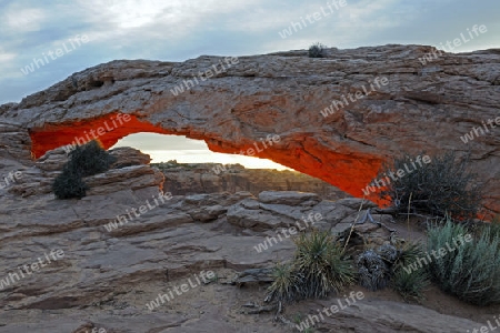 "Mesa Arch" bei Sonnenaufgang, Canyonlands Nationalpark, Utah, USA