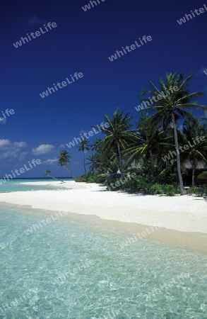 
Der Traumstrand mit Palmen und weissem Sand an der Insel Velavaru im Southmale Atoll auf den Inseln der Malediven im Indischen Ozean.   