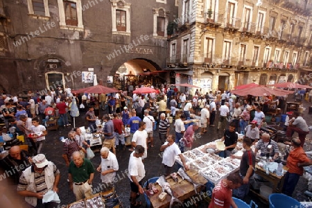 The Fishmarket in the old Town of Catania in Sicily in south Italy in Europe.