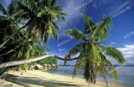 Ein Traumstrand auf der Insel La Digue der Inselgruppe Seychellen im Indischen Ozean in Afrika.