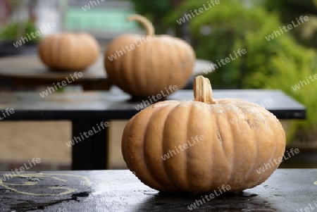 pumpkins in a restaurant in the town of Nyaungshwe at the Inle Lake in the Shan State in the east of Myanmar in Southeastasia.