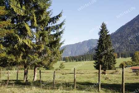 Wendelstein