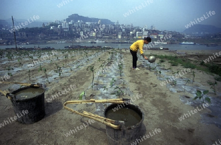 agroculture in the village of fengjie at the yangzee river in the three gorges valley up of the three gorges dam project in the province of hubei in china.