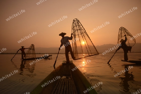 Fishermen at sunrise in the Landscape on the Inle Lake in the Shan State in the east of Myanmar in Southeastasia.