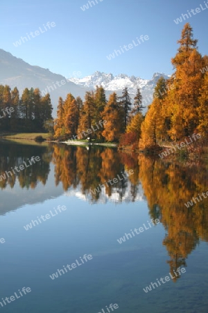 Herbsstimmung am Champfersee