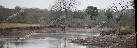 Flusslandschaft Afrika