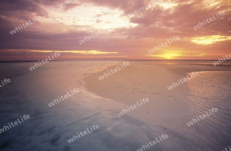 
Der Traumstrand mit Palmen und weissem Sand an der Insel Velavaru im Southmale Atoll auf den Inseln der Malediven im Indischen Ozean.   