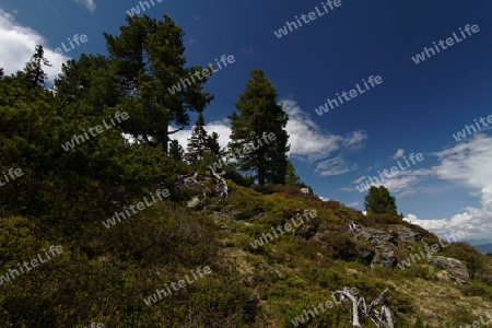 Zillertaler Berge, Oesterreich