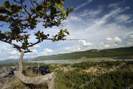 Die Landschaft mit Sicht auf den Mekong River vom Pha Taem Nationalpark bei Khong Chiam in der Umgebung von Ubon Ratchathani im nordosten von Thailand in Suedostasien.