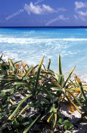 Der Stand von Tulum an der Karibik in der Provinz Quintana Roo in Mexiko. 






