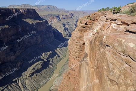 Grand Canyon North Rim, Nordrand, Toroweap point, Colorado river, Arizona, USA