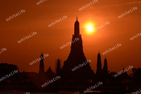 Die Tempelanlage des Wat Arun am Mae Nam Chao Phraya River in der Hauptstadt Bangkok von Thailand in Suedostasien.