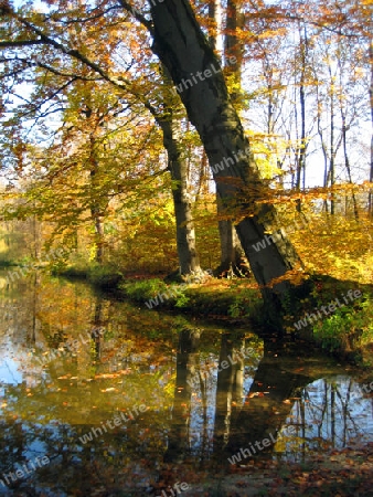 Englischer Garten M?nchen