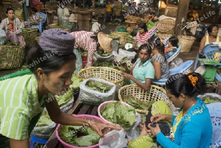 Betel nut at a Market near the City of Yangon in Myanmar in Southeastasia.