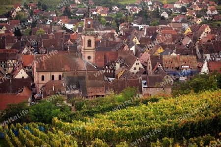 the olt town of the village of Riquewihr in the province of Alsace in France in Europe