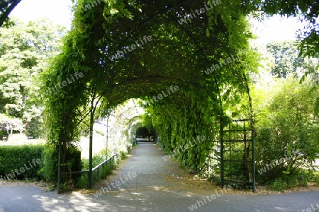 weg in einem park