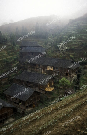 a village in the rice fields of the village of Longsheng in the province Guangxi in south of China.