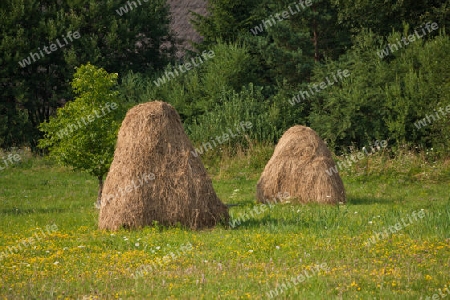 Heureiter - traditionelle Landwirtschaft