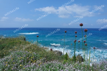 Meer Landschaft auf Ischia