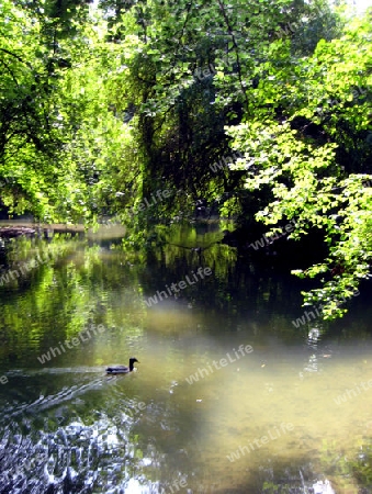 Englischer Garten M?nchen