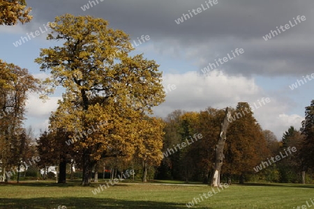 Herbst im Hirschgarten