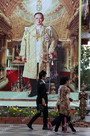 Ein grosses Bild des Koenig Bhumipol Adulyadej Rama 9 in der Tempel Anlage des Wat Phra That Doi Suthep bei Chiang Mai in der Provinz Chiang Mai im Norden von Thailand in Suedostasien.