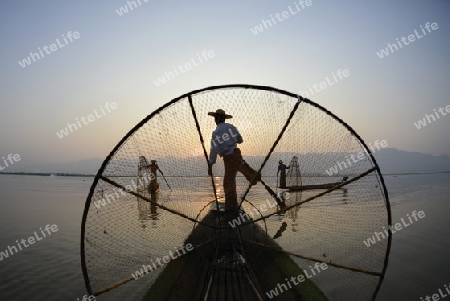 Fishermen at sunrise in the Landscape on the Inle Lake in the Shan State in the east of Myanmar in Southeastasia.