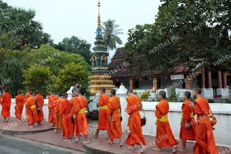 Moenche am fruehen Morgen beim einsammeln von Reis in der Altstadt von Luang Prabang in Zentrallaos von Laos in Suedostasien.