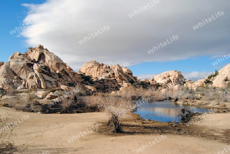 Joshua Tree Nationalpark