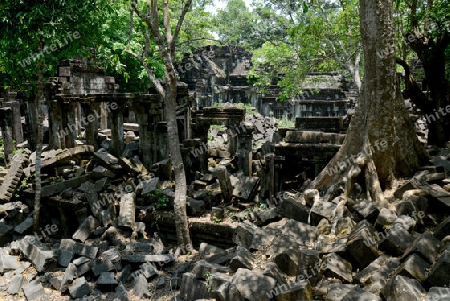 The Tempel Ruin of  Beng Mealea 32 Km north of in the Temple City of Angkor near the City of Siem Riep in the west of Cambodia.