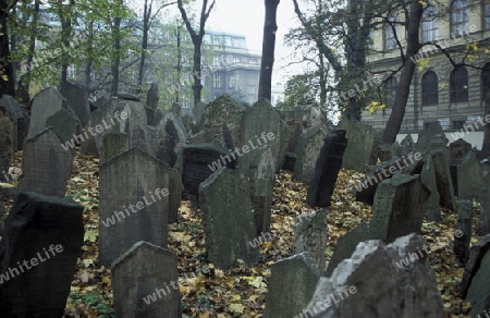 Der Juedische Friedhof von Prag der Hauptstadt der Tschechischen Republik.