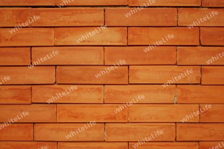 wall