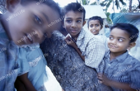 
Kinder auf der Einheimischen Insel Dhangethi unweit der Insel Meeru im Northmale Atoll auf den Inseln der Malediven im Indischen Ozean