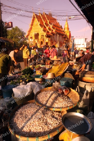 Der Markt vor dem Wat Mung Muang am Morgen in der Altstadt von Chiang Rai in der Provinz chiang Rai im Norden von Thailand in Suedostasien.