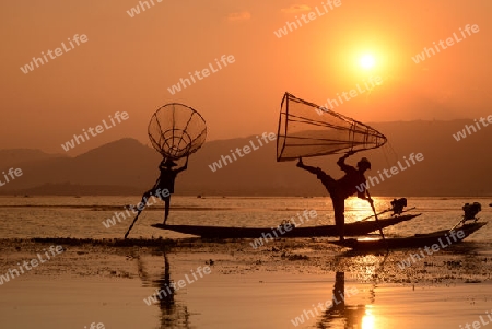 Fishermen at sunset in the Landscape on the Inle Lake in the Shan State in the east of Myanmar in Southeastasia.