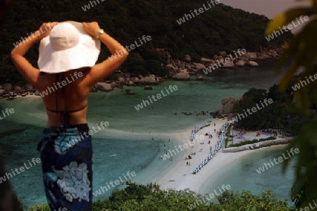 Die Strand und Insellandschaft auf der Insel Koh Naang Yuan neben der Insel Ko Tao im Golf von Thailand im Suedwesten von Thailand in Suedostasien.  