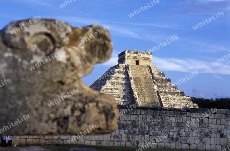 Die Pyramide der Maya Ruine von Chichen Itza im Staat Yucatan auf der Halbinsel Yuctan im sueden von Mexiko in Mittelamerika.   