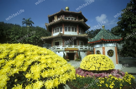 a traditional chinese Temple in Hong Kong in the south of China in Asia.