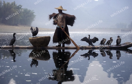 the landscape at the Li River near Yangshou near the city of  Guilin in the Province of Guangxi in china in east asia. 