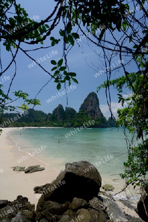 The Hat Railay Leh Beach at Railay near Ao Nang outside of the City of Krabi on the Andaman Sea in the south of Thailand. 