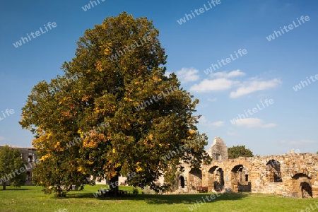 Burg Gleichen